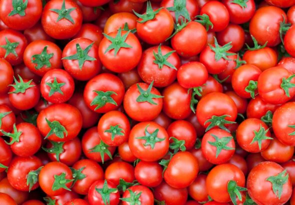 xitayning italiyege qilghan pemidur qiyami &eacute;ksporti mejburiy emgek seweblik %76 ch&uuml;shti